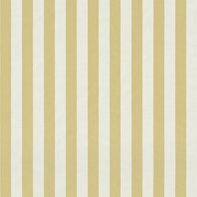 Stripy FR 1126