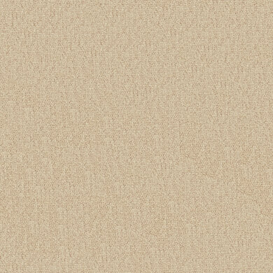So Biscuit RE 2602