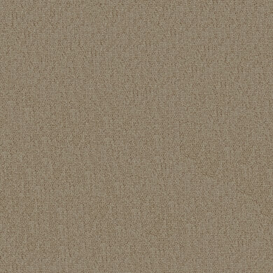 So Biscuit RE 2602