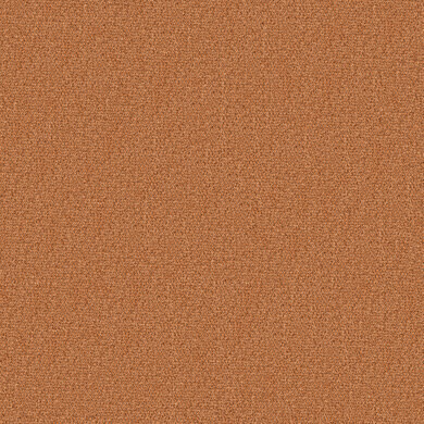 So Biscuit RE 2602