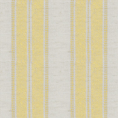 All Time Stripe 1102