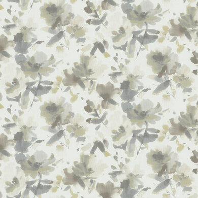 Lavinia 2565