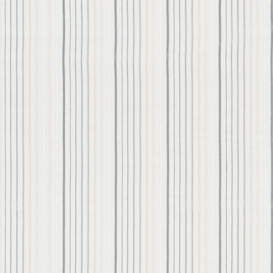 Colada 3146