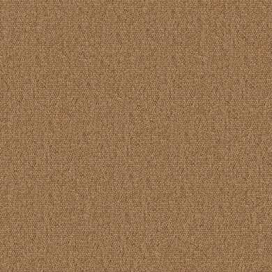 So Biscuit RE 2602