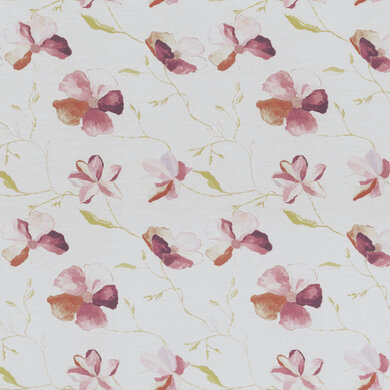 Anemone 8203