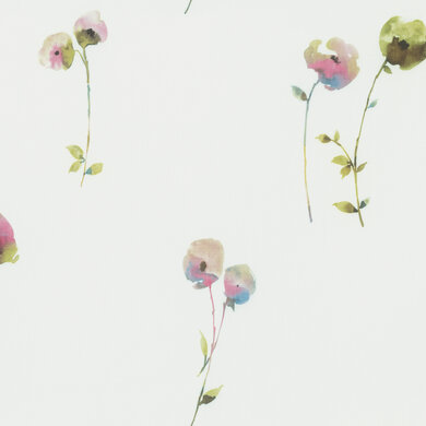 Poppy 8054