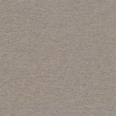 Breaking Dawn Dimout FR 1302