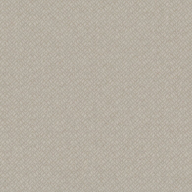 Calyso 1579